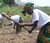 In Sierra Leone is metrication important, but food is important even more